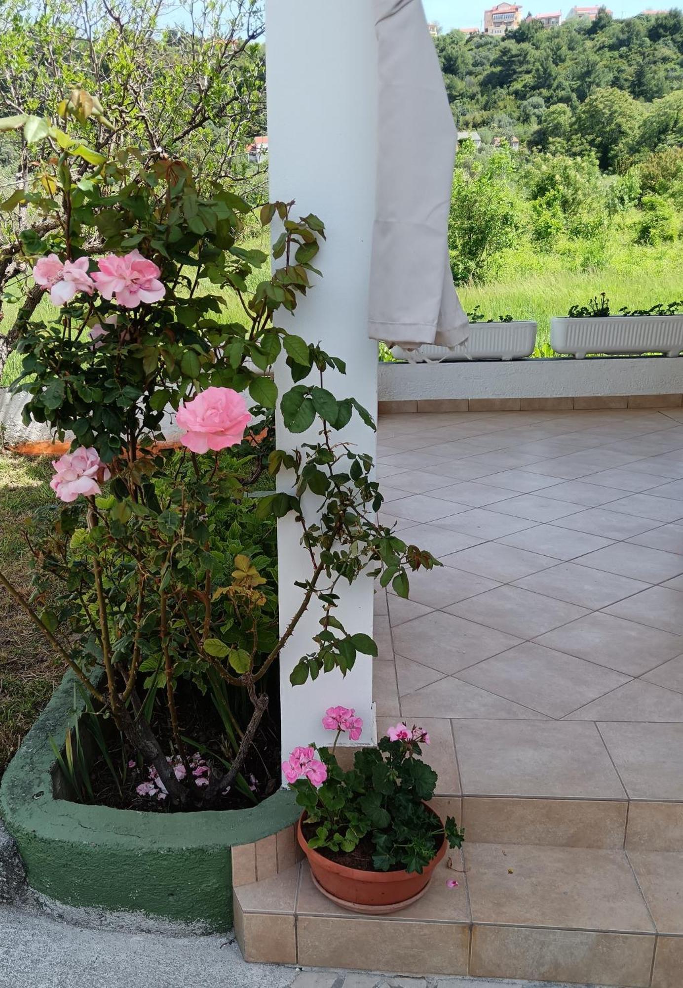 Ferienwohnung App Leo Palit Exterior foto